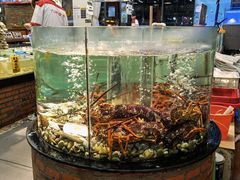 -九號渔港·蒸汽海鲜·粤菜茶点(八卦岭店)
