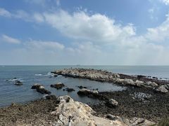 -养马岛旅游度假区