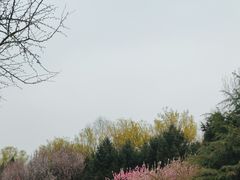 -东升八家郊野公园
