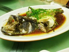 -鑫悦楼煎蟹·16年海鲜大排档