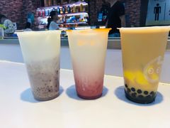 -CoCo都可(美兰湖大润发店)