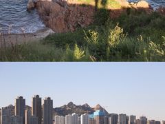 -小麦岛公园