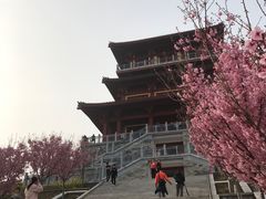 -古柏渡飞黄旅游区