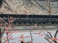 -芥子园