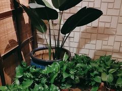 -绿茶餐厅(王府井永宁门店)