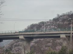 -白河堡水库