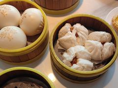-东方早茶 海鲜•青岛菜(国信体育中心店)