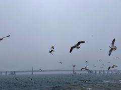 -星海广场