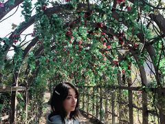 -南沙蒲洲花园