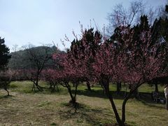 -采石矶景区