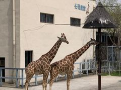 -上方山森林动物世界