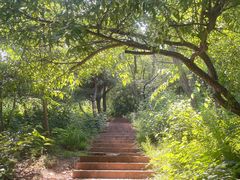 -北京西山国家森林公园