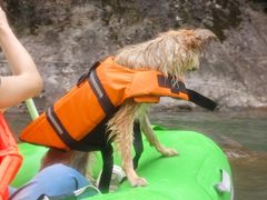 -安吉龙王山峡谷漂流