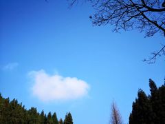 -山王坪喀斯特国家生态公园