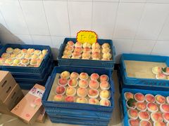 -老袁家蜜桃农场·阳山水蜜桃