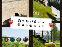 -前小桔亲子创意农场·草莓采摘·露营烧烤