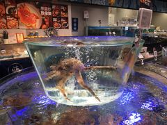 -盒马鲜生(悠方店)