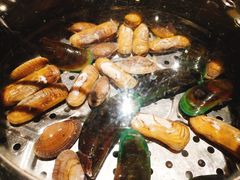 -船奇蒸汽海鲜·闽菜(八市海鲜总店)