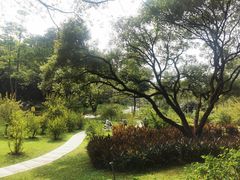 -云溪植物园