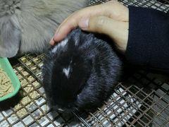 -咬不得高祖生煎·简餐(高银街店)
