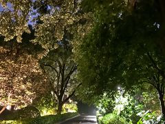 -南京东郊国宾馆