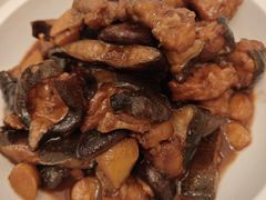 冬菇火腩蒜子焖娃娃鱼-馨园villa融合菜(东山店)
