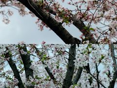 -龙美术馆(西岸馆)