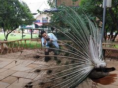 -昆明动物园