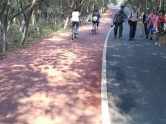 android_upload_pic-艾溪湖湿地公园