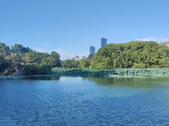 -艾溪湖湿地公园