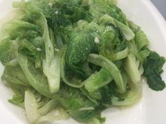 -姚林轩