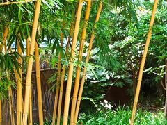 -静安公园(静安寺街道)