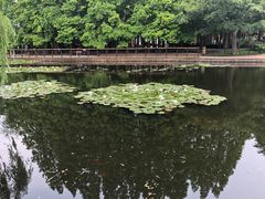 -玲珑塔公园
