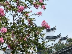 -黎里古镇