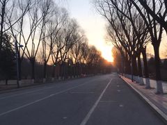 -吉林大学(前卫南区)