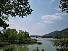 -长广溪湿地公园