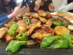 -北戴河集发农业梦想王国