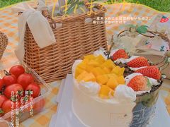 -苏州上方山国家森林公园