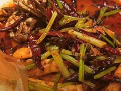 -杨氏青龙虾·羊蝎子(珠江路店)