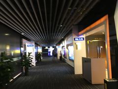 -奥斯卡升龙国际影城(RealD Cinema)