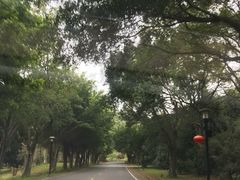 -福建鲤鱼洲酒店