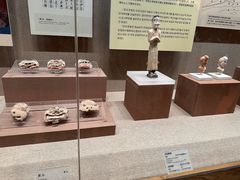 -敦煌市博物馆