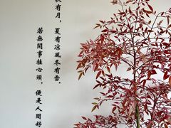 -小茶闲舍·观景商务茶馆(广州塔店)