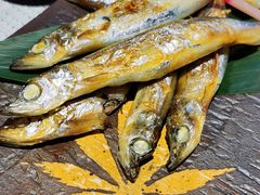 -森味薪火烧•烧鸟居酒屋•日本料理(望京店)