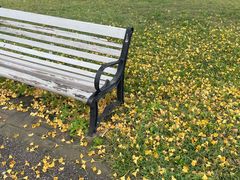 -永定河休闲森林公园