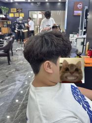 -藤野造型