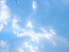 -西双版纳原始森林公园