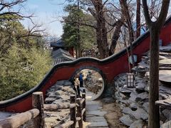 -大觉寺-停车场