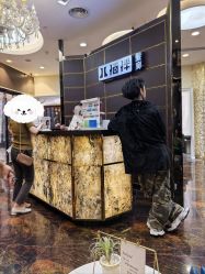 -八佰伴8008星级形象店