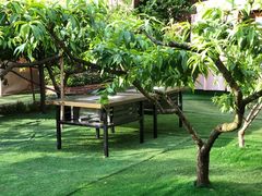 -玫瑰庄园·自助烧烤·烤全羊·团建拓展(龙泉山店)